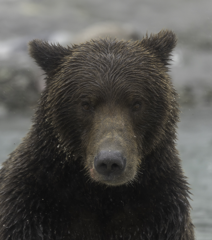 alaska